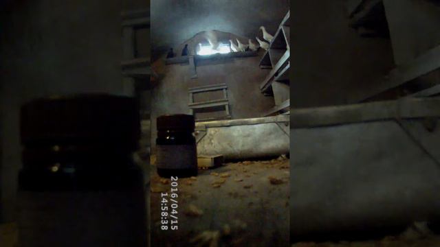 Йодовая шашка. | Применение с голубями смотреть онлайн