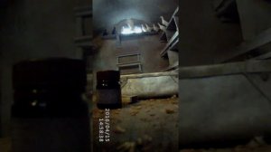 Йодовая шашка. | Применение с голубями