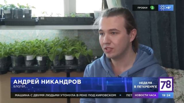 78 канал и Парень из сада о рассаде и семенах | будни огородника дачника