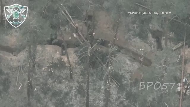 Работа русской артиллерии по позициям ВСУшников в районе Кременной смотреть онлайн