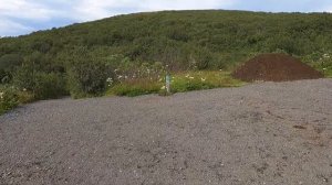 Hike to Svartifoss Waterfall in Skaftafell, Iceland - (Vatnajökull National Park)