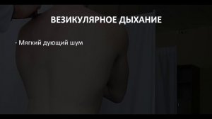 Аускультация лёгких | Дыхательные шумы | Видео с примерами