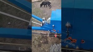 Обзор мотоблока Зубр 8л.с