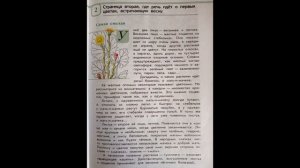 Читаем детям ЗЕЛЁНЫЕ СТРАНИЦЫ. А.А.Плешаков. Страница вторая. САМАЯ СМЕЛАЯ (МАТЬ-И-МАЧЕХА).