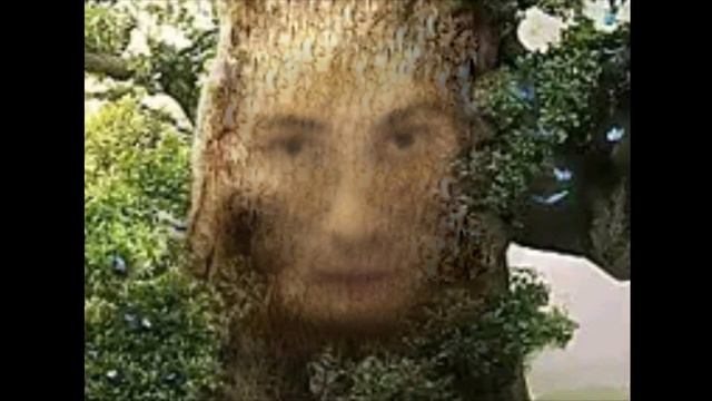 Мудрый Дуб Артём Ежов (лирическое видео)