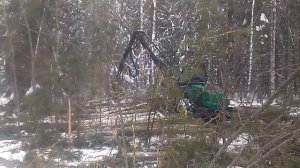 Харвестер валка леса.