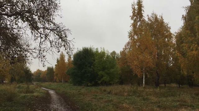 2017-10-13 ПР.Хмурая осень-2017 в  Москве смотреть онлайн