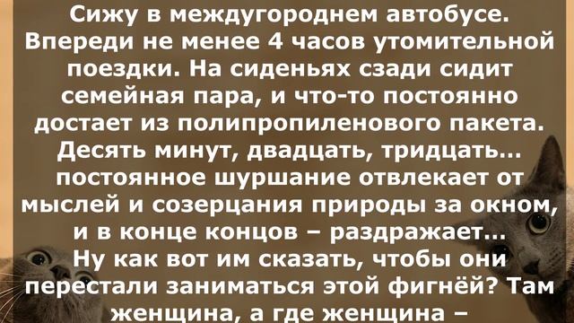 Самые смешные истории из жизни