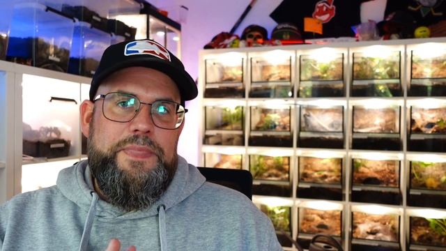 Kurz gefragt, kurz geantwortet #35 | Für eine Vogelspinne Futterinsekten züchten? смотреть онлайн