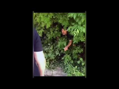 500 рублей не разменяете (8K 60fps UHD)