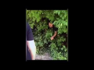 500 рублей не разменяете (8K 60fps UHD)