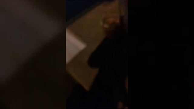 Main Sama Anjing смотреть онлайн