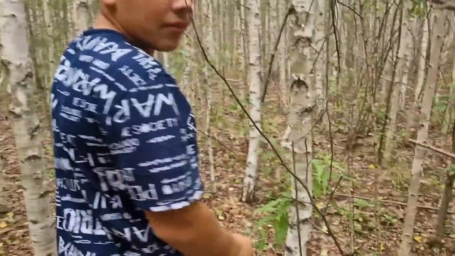 Поехали за грибами. Навожу порядок в теплице. Борьба стар да мал.
