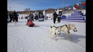 Детская гонка «Дюлин» открыла Берингию 2018