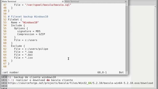 Tutorial Bacula - Sistema backup remoto cliente Windows - Backup cliente linux -part 5 смотреть онлайн