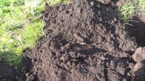 Поиск монет в Татарстане.Находки на старом урочище!!!