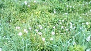 Христианские стихи с глубоким смыслом.