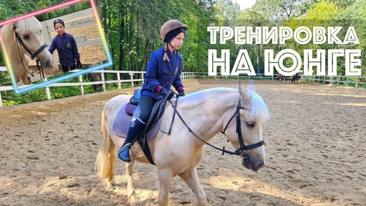 Тренировка на Юнге. смотреть онлайн