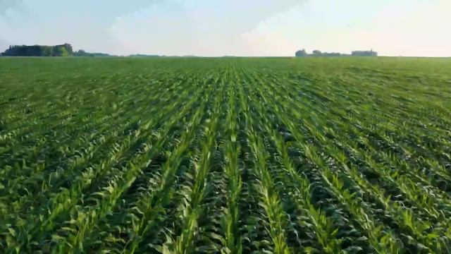 Релакс музыка для крепкого сна и успокоения нервов смотреть онлайн