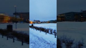 Экология в спб