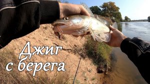 Эта приманка СДЕЛАЛА  рыбалку! Судак и Щука на спиннинг