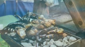 Страны, в которой едят кошек