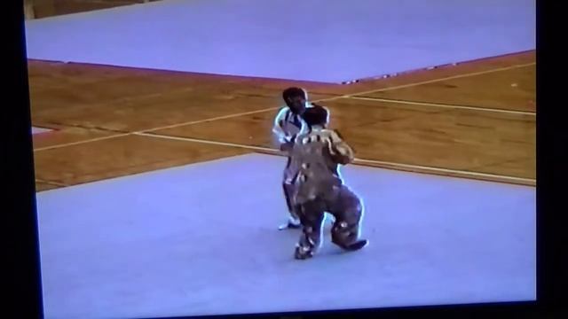 Багуа дуйлянь (八卦掌対練) или форма парной тренировки в стиле ладони восьми триграмм. смотреть онлайн