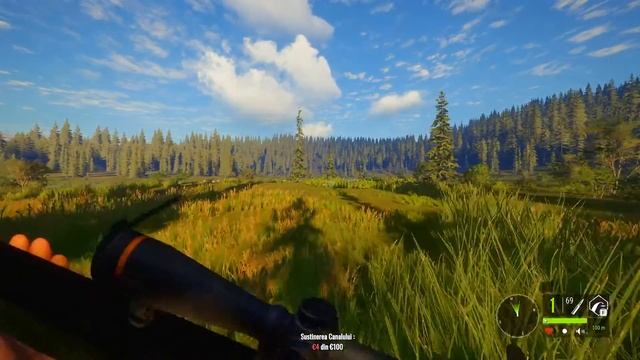 LIVE la o vanatoare corecta смотреть онлайн