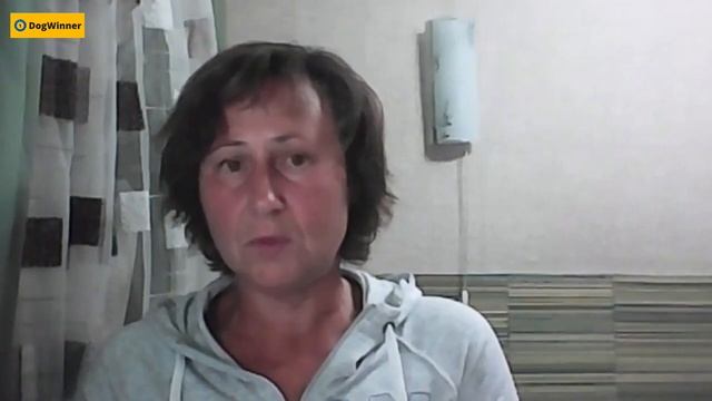 Что должна уметь собака к 5 месяцам? «Вопрос-ответ» с кинологом Татьяной Шамановой смотреть онлайн