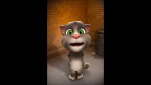 Old Spice Timber или Citron: Что освеженнее?