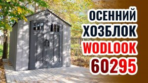 Сарай Woodlook 60295. Дачная бытовка для большого хранения