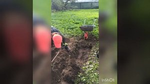 Посадка малины весной! Новый способ посадки!