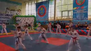 Taekwonod GTF URALSK