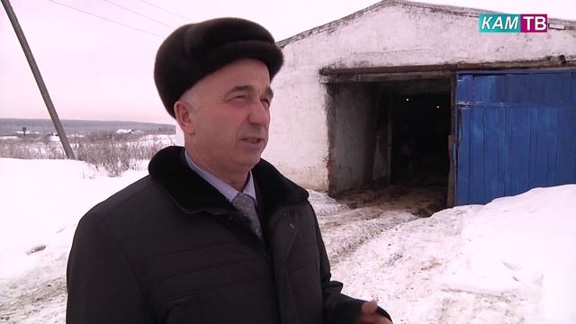 Буренки из Варварвки