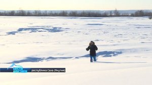 Мамонтовая тундростепь, или как плейстоценовый парк может остановить глобальное потепление