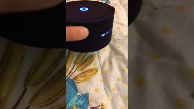 Новая Алиса смотреть онлайн