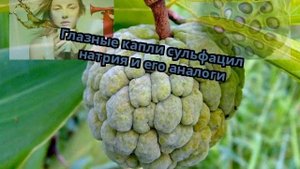 Глазные капли сульфацил натрия и его аналоги