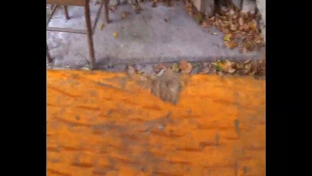 11_11_2014_ПРОГУЛКА ПО АГУРСКОМУ УЩЕЛЬЮ.mp4 смотреть онлайн