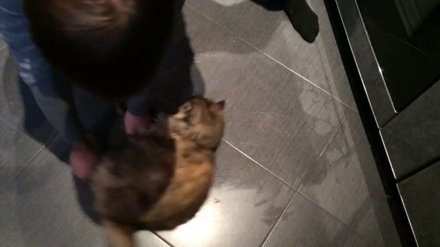 #HOWTO Как Правильно Мыть Пол / How To Wash The Floor