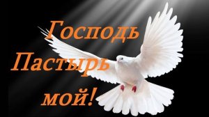 Есть то, чего никто отнять не может...