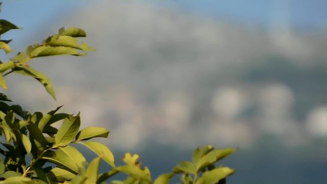 Full HD Nikon Coolpix B500 VIDEO TEST смотреть онлайн