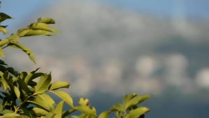 Full HD Nikon Coolpix B500 VIDEO TEST