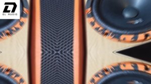 DL AUDIO - GRYPHON PRO MIDBASS 200