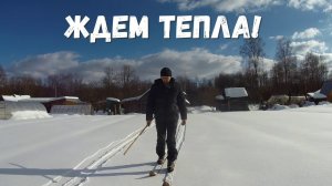 Про индюков, кур и будни хозяйства в деревне!
