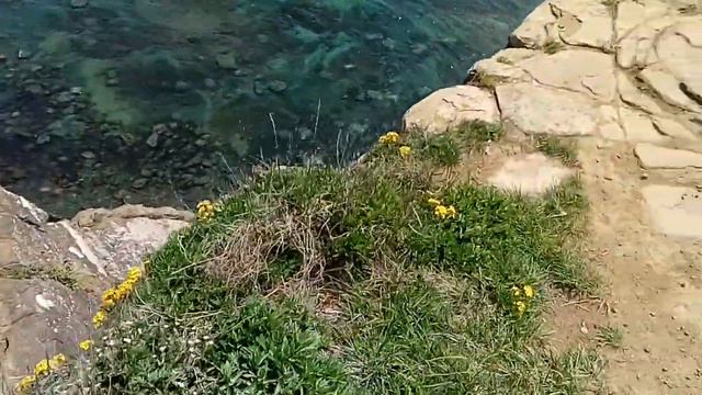 Владивосток Остров Русский Мыс Тобизина 26 мая 2021 года. Японское море и скалы невероятной красоты смотреть онлайн