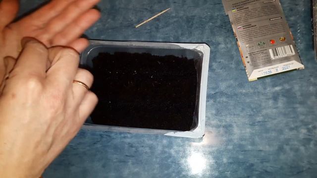 Физалис Ананасовый новая попытка смотреть онлайн