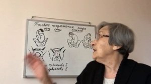 Тазовое предлежание: пособия по Цовьянову I, II (71)