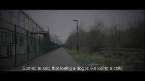 Kate Spicer: Lost Dog