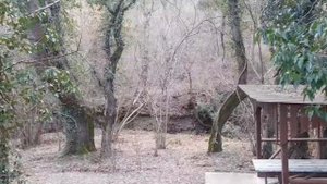 210/Выходные на природе/Глебовское озеро/шашлыки