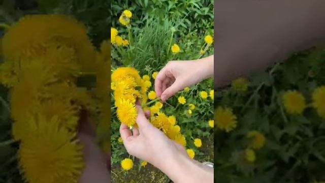 Мини урок как плести венки: (это не я) смотреть онлайн